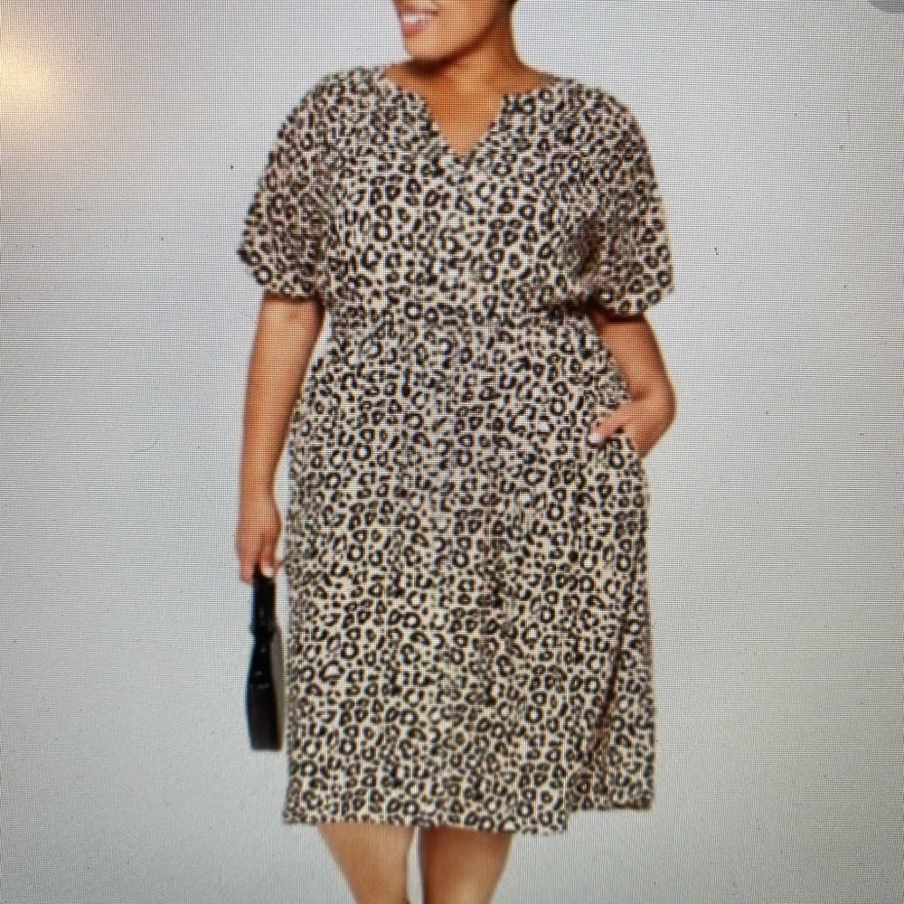 Ava and Vic leopard print button down dress